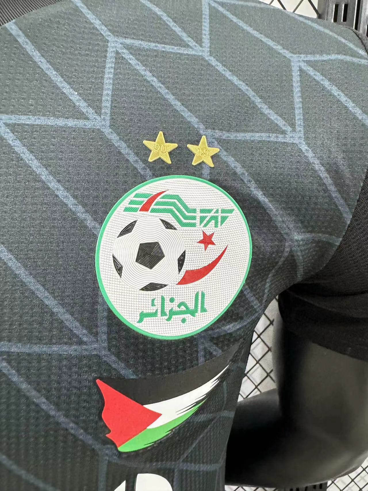 Algérie Noir Palestine