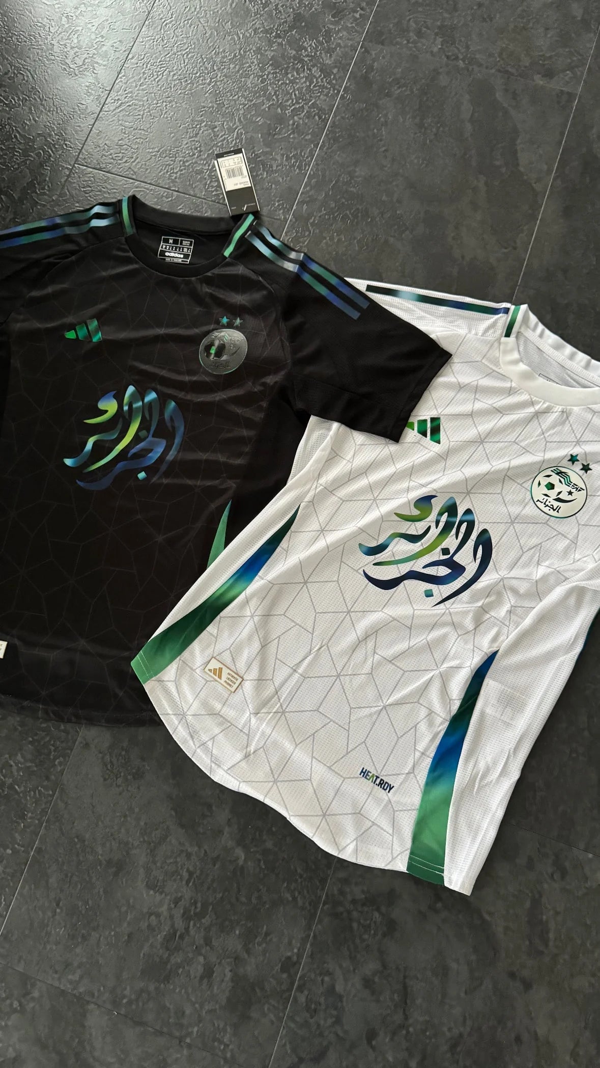 Algérie - Maillot Spécial 2024 2025 Version Joueur - Blanc