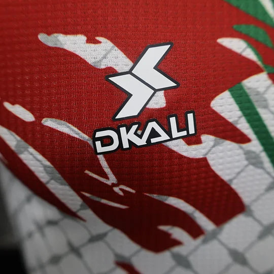 Palestine Maillot 2024 2025